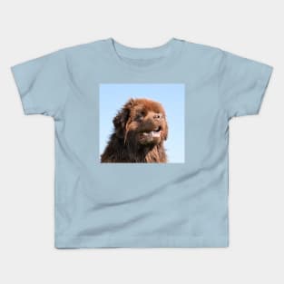 newfoundland brown Kids T-Shirt